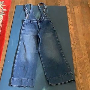 Free People A-Line Medium Wash Overalls
